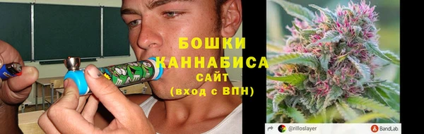 стафф Дмитриев