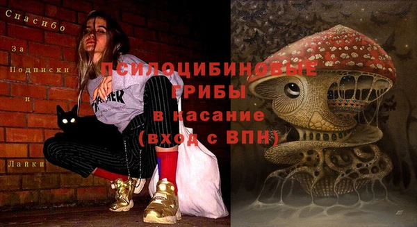 первитин Дмитровск