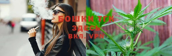 стафф Дмитриев