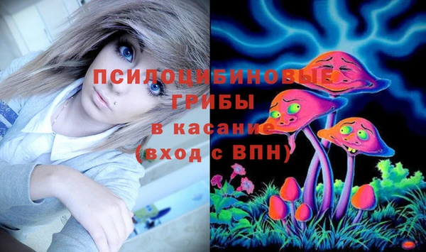 стафф Дмитриев