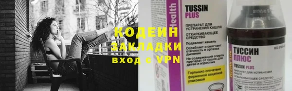 ПСИЛОЦИБИНОВЫЕ ГРИБЫ Ельня