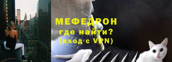 стафф Дмитриев