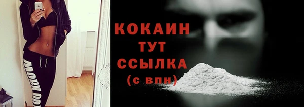 стафф Дмитриев