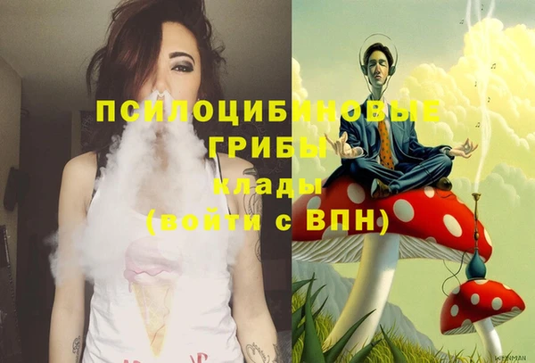 синтетический гашиш Елабуга