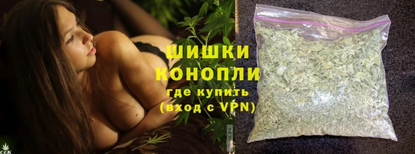стафф Дмитриев