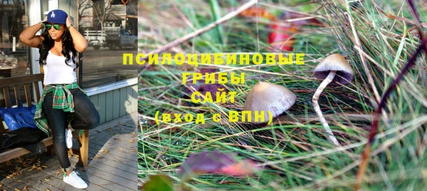 прущая мука Елизово