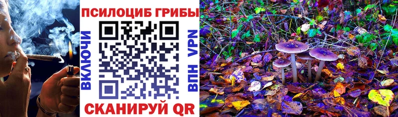 Купить где  Черемхово  Галлюциногенные грибы прущие грибы 